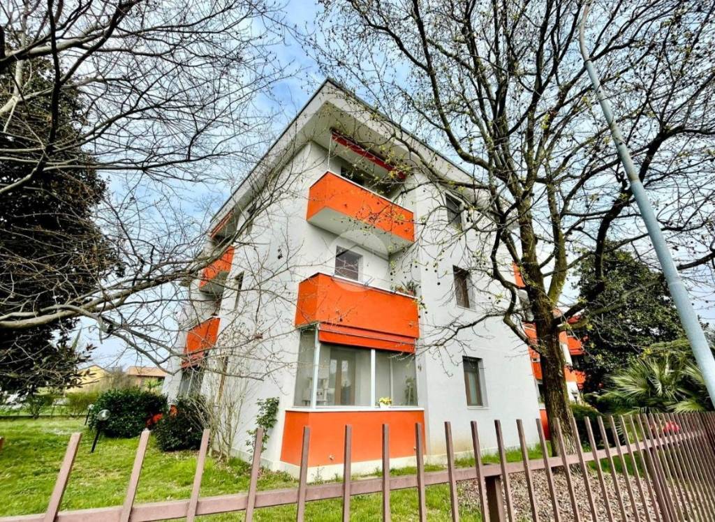 immagine annuncio 7 di 14