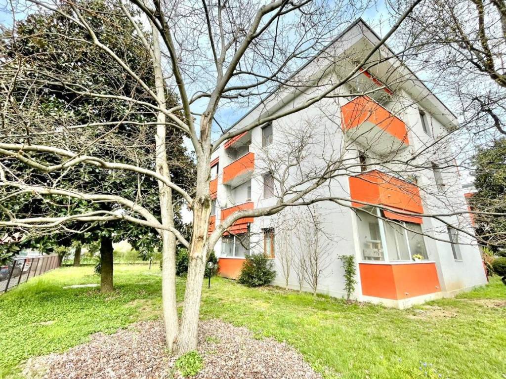 immagine annuncio 8 di 14