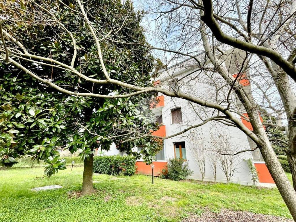 immagine annuncio 9 di 14