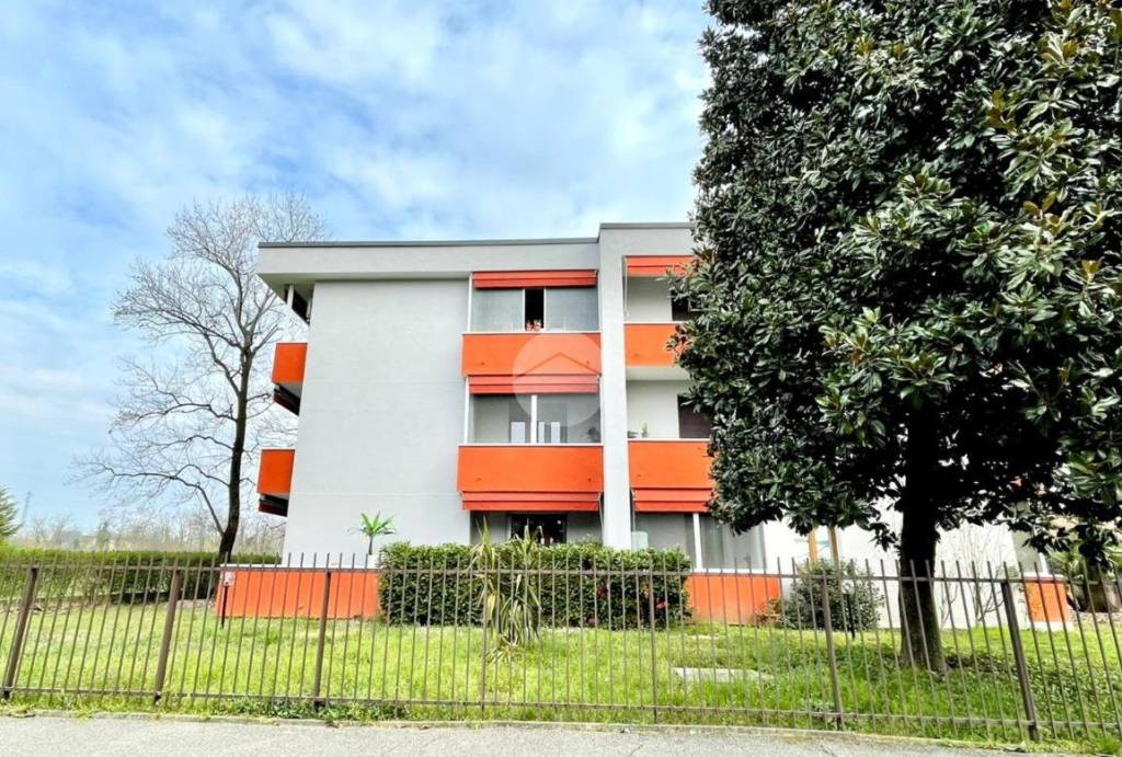 immagine annuncio 10 di 14