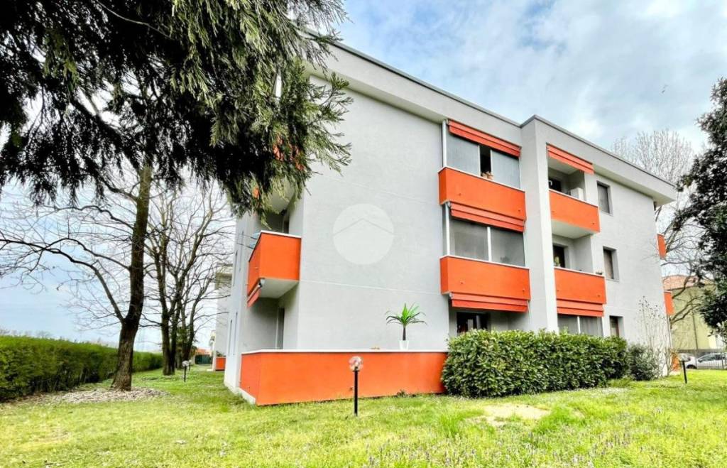 immagine annuncio 11 di 14