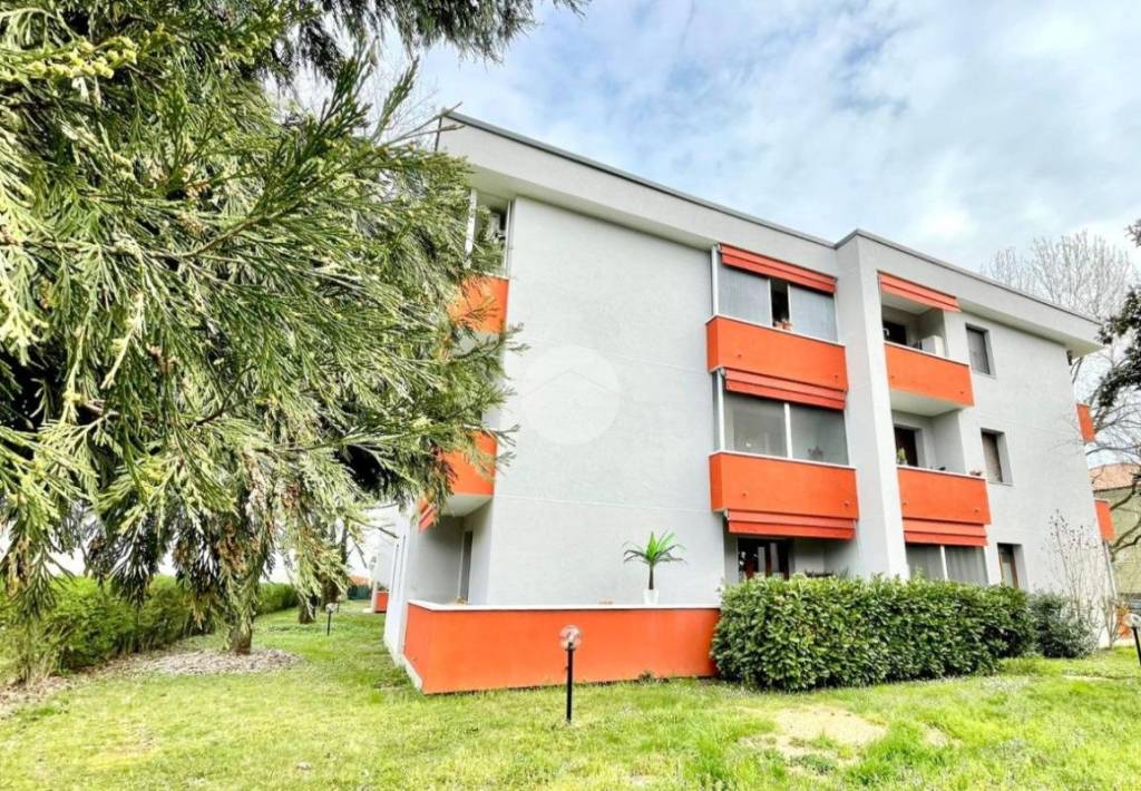 immagine annuncio 12 di 14