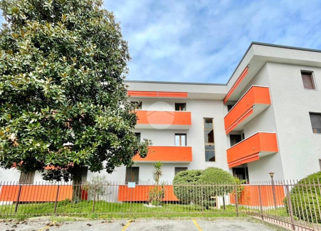 immagine annuncio 13 di 14