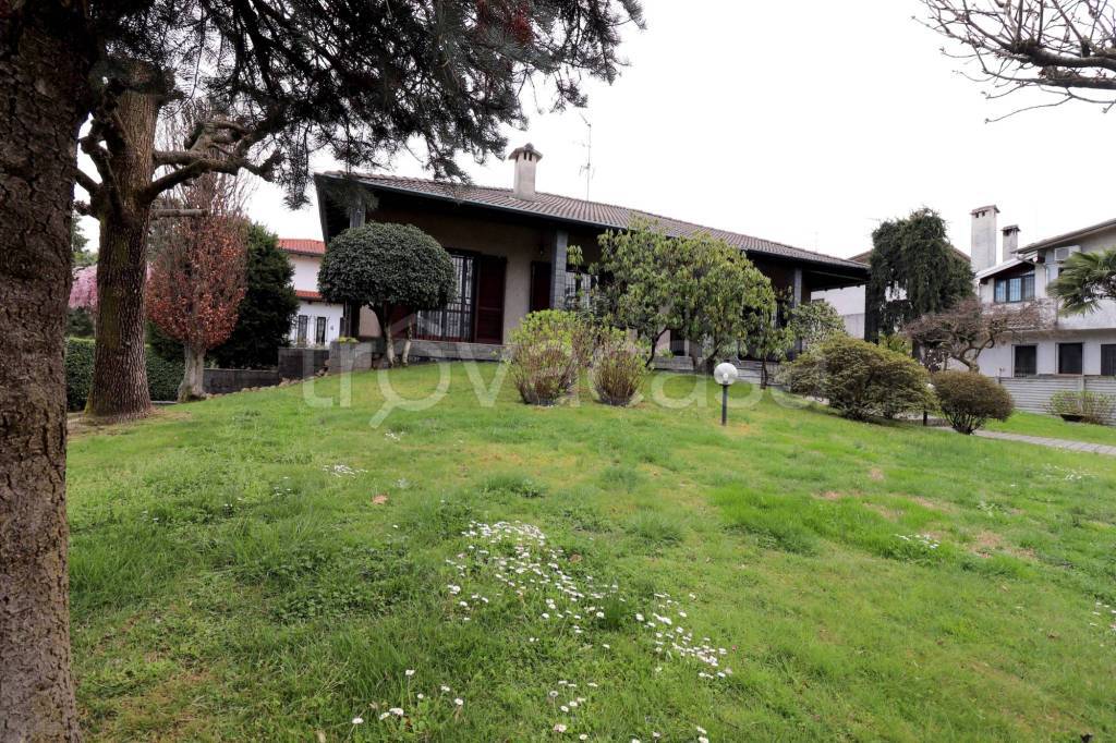 immagine annuncio 7 di 15