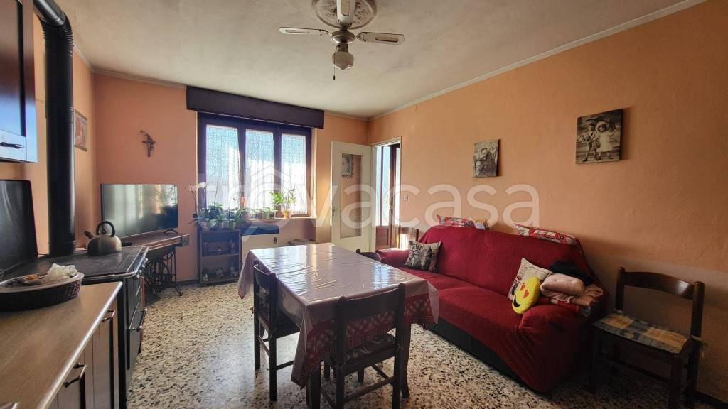 immagine annuncio 5 di 14