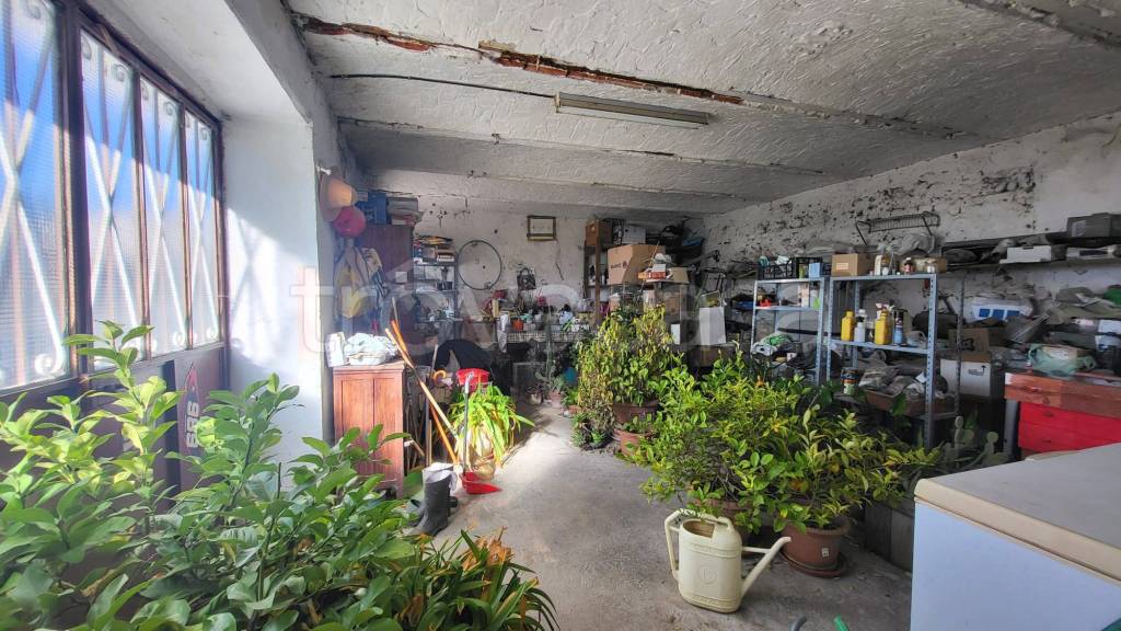 immagine annuncio 4 di 14