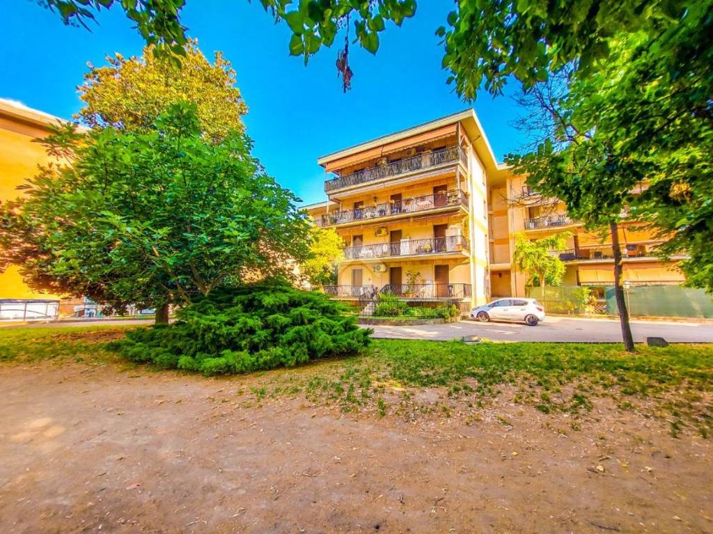 immagine annuncio 6 di 15