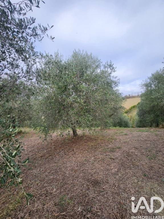 immagine annuncio 6 di 9