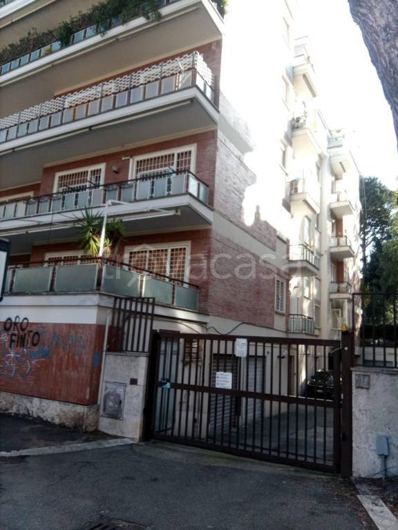 immagine annuncio 1 di 14