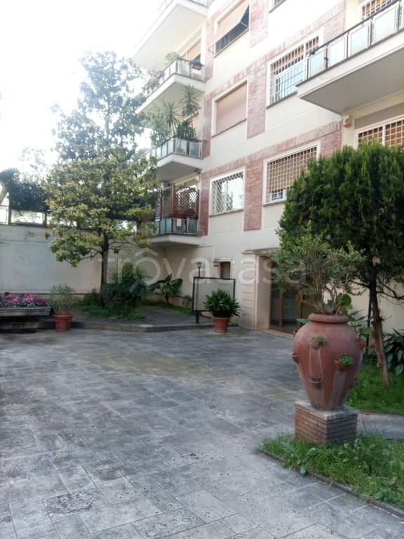 immagine annuncio 5 di 14