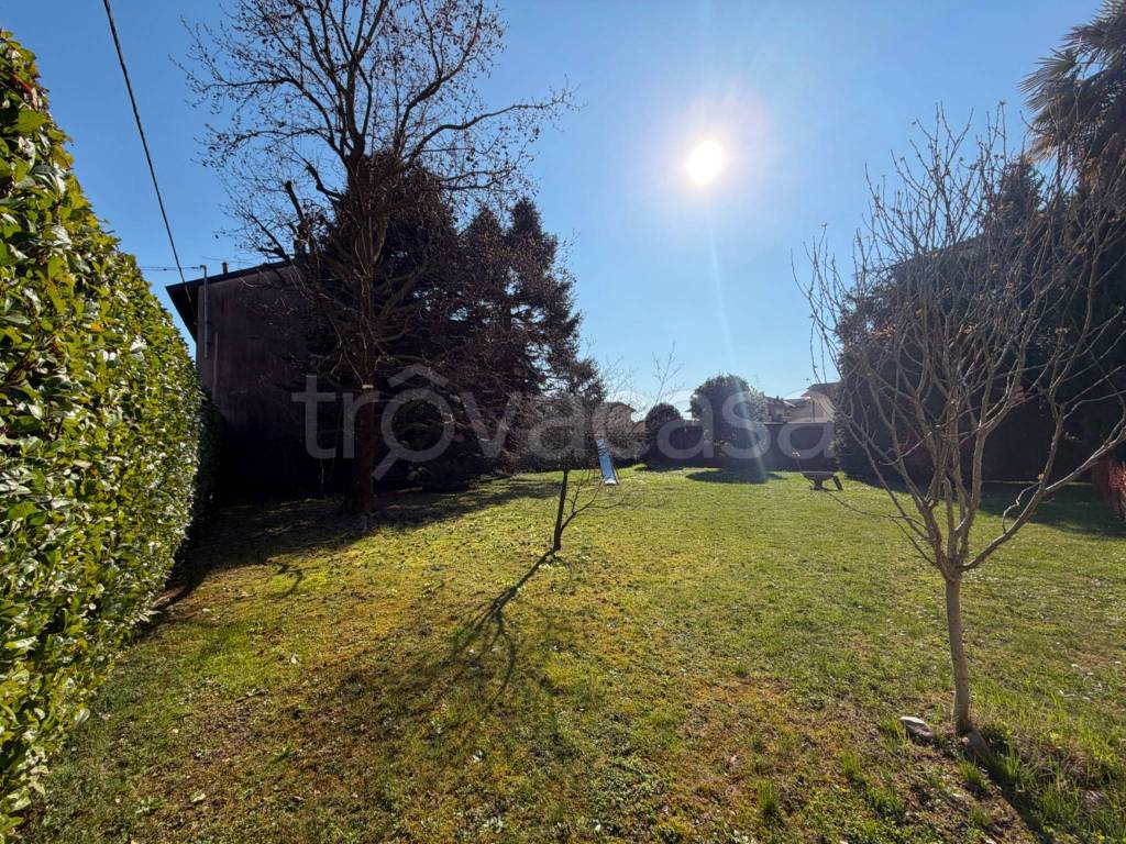 immagine annuncio 2 di 11