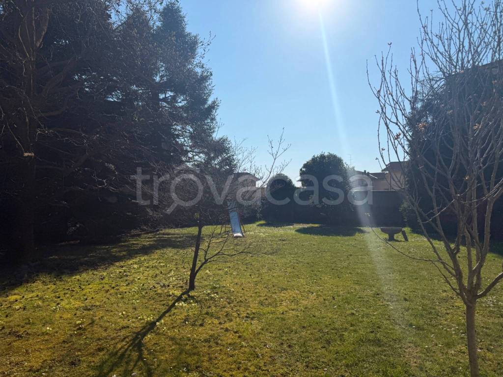 immagine annuncio 4 di 11