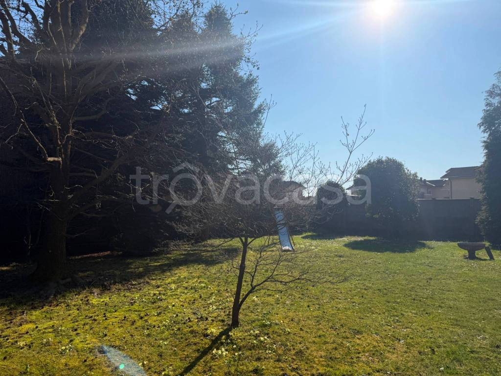 immagine annuncio 10 di 11