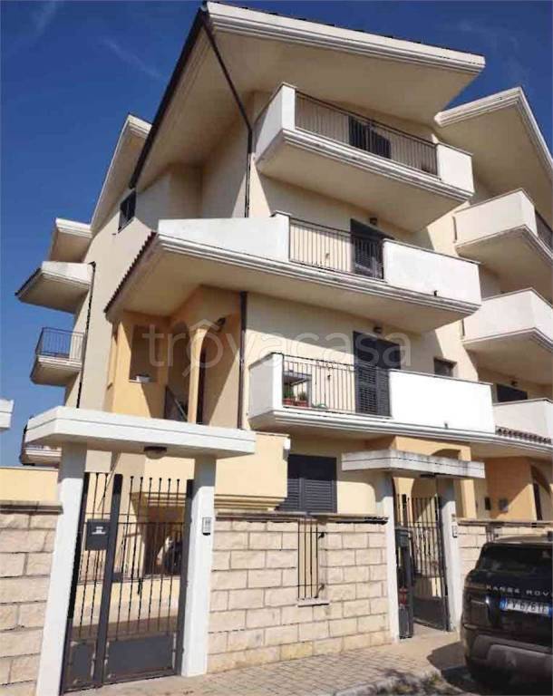 immagine annuncio 2 di 14