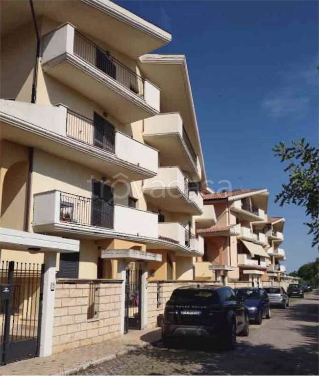 immagine annuncio 3 di 14