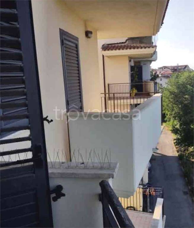 immagine annuncio 6 di 14