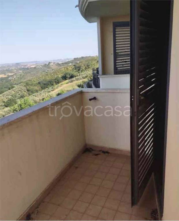 immagine annuncio 7 di 14