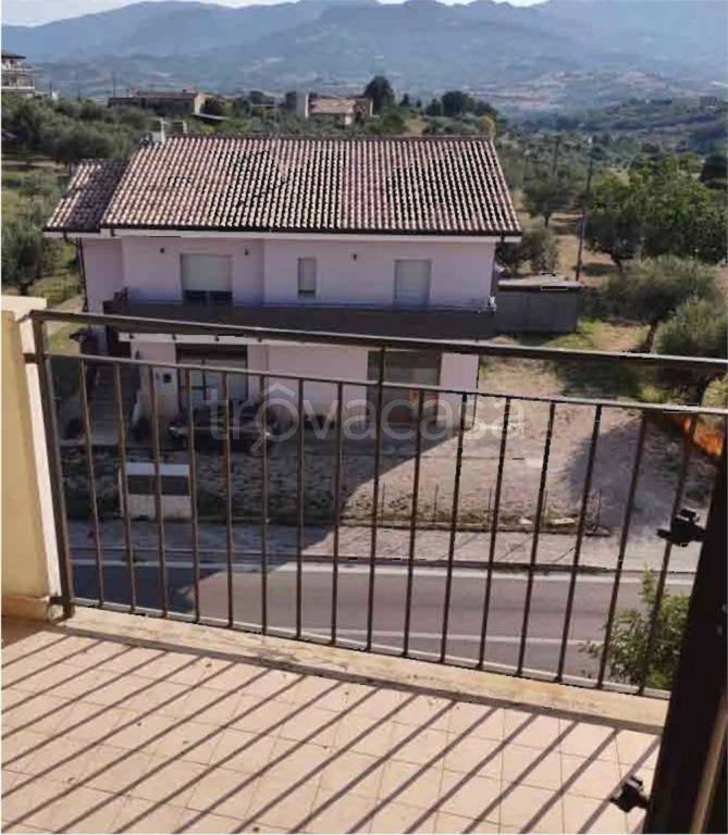 immagine annuncio 8 di 14