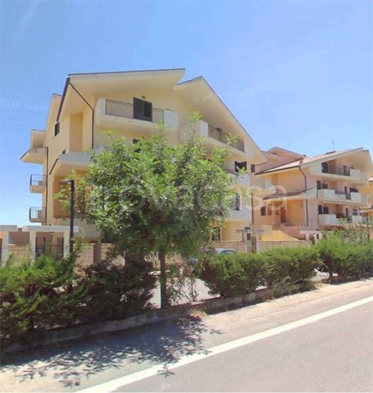 immagine annuncio 9 di 14