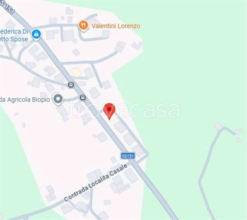 immagine annuncio 11 di 14