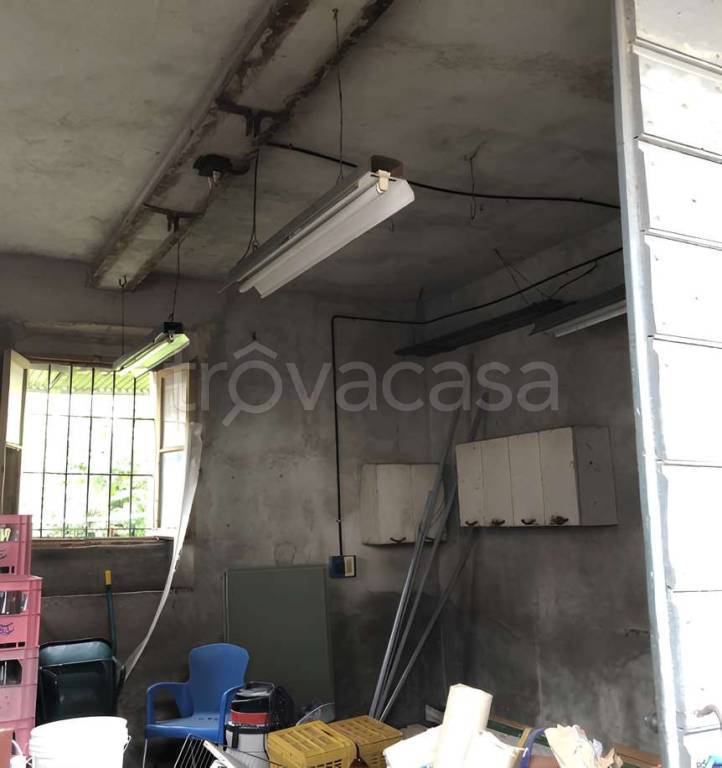 immagine annuncio 2 di 6