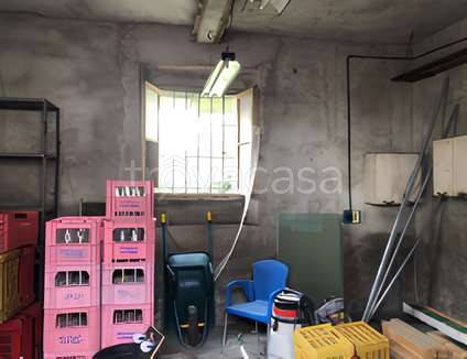 immagine annuncio 4 di 6