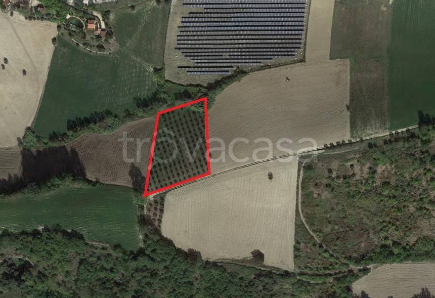 immagine annuncio 7 di 9