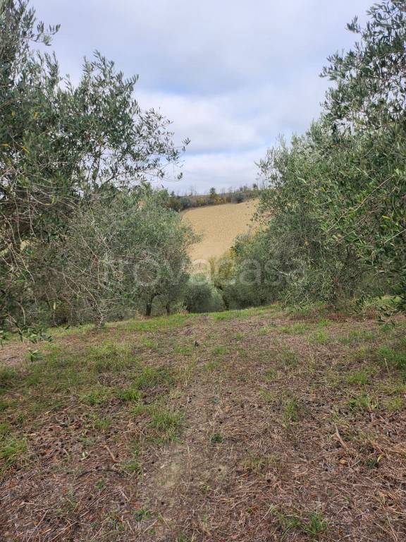 immagine annuncio 8 di 9