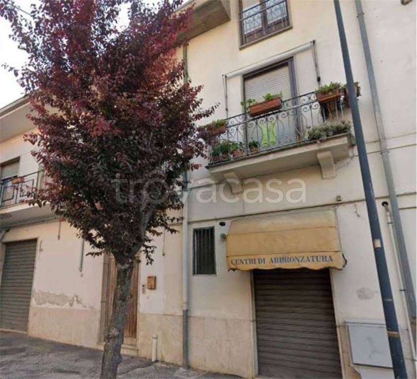 immagine annuncio 4 di 12