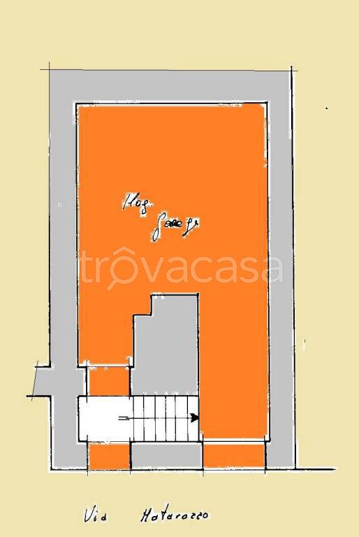 immagine annuncio 9 di 11