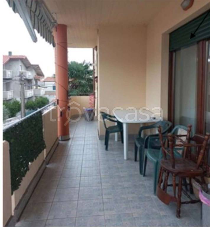 immagine annuncio 6 di 14