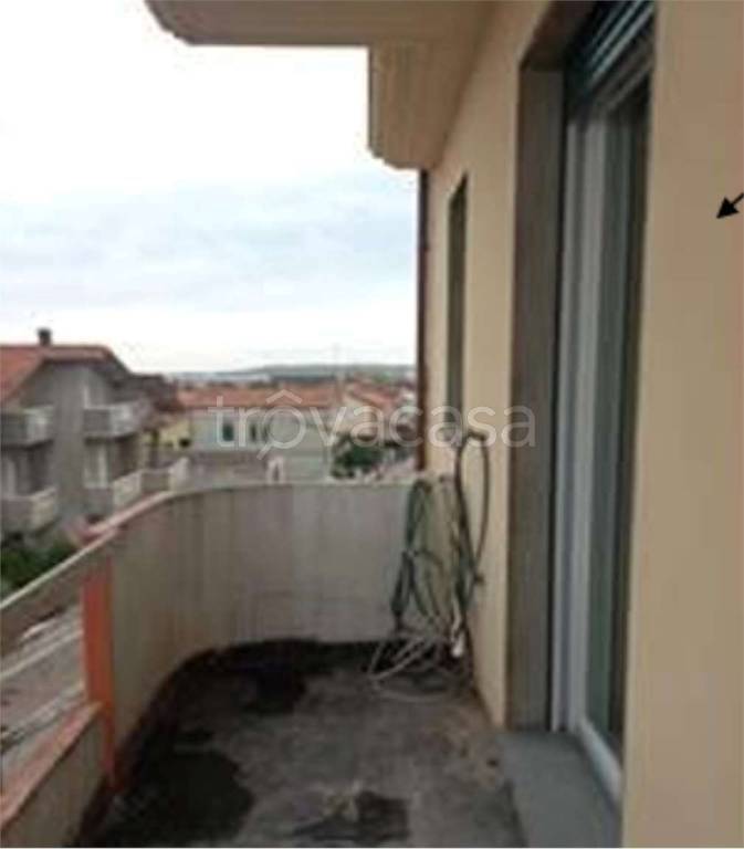 immagine annuncio 8 di 14