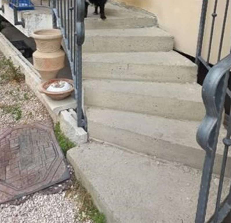 immagine annuncio 9 di 14