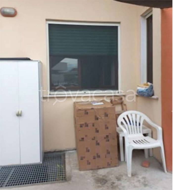 immagine annuncio 10 di 14