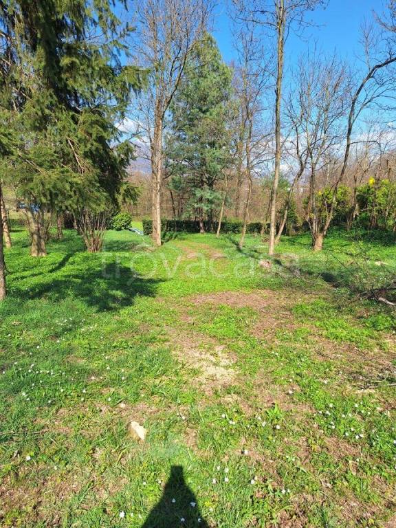 immagine annuncio 1 di 4