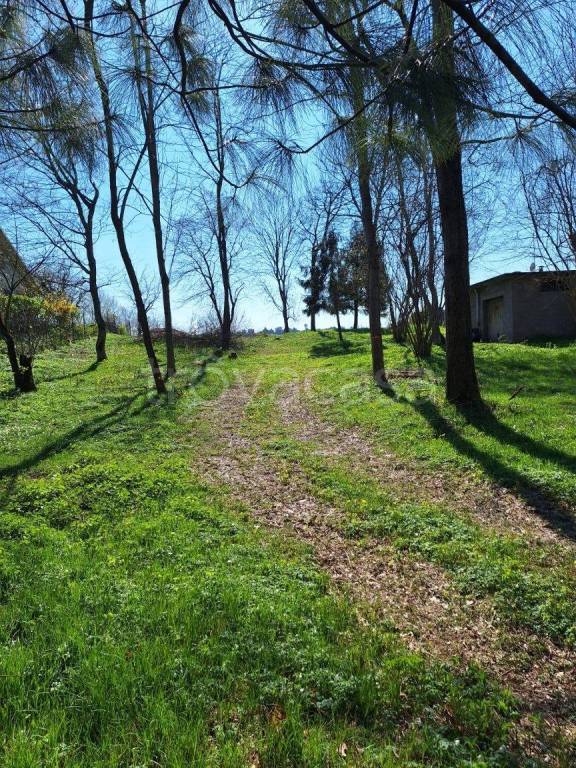 immagine annuncio 2 di 4