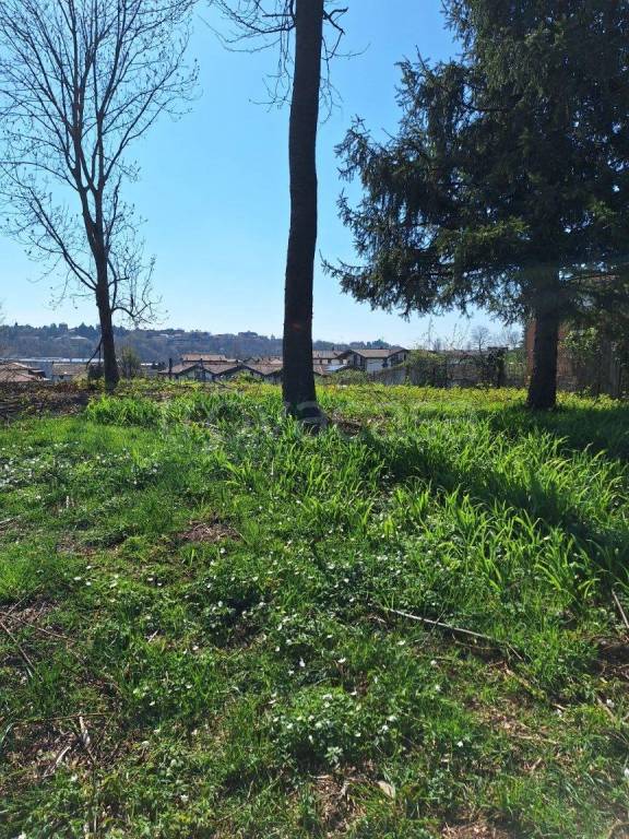 immagine annuncio 3 di 4