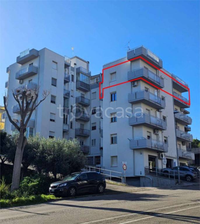 immagine annuncio 3 di 14