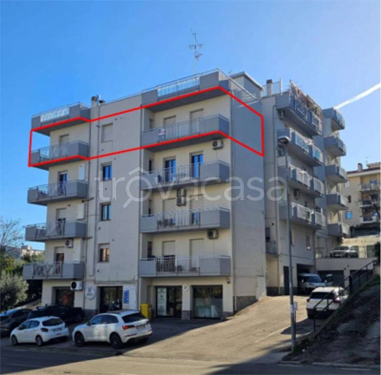 immagine annuncio 5 di 14