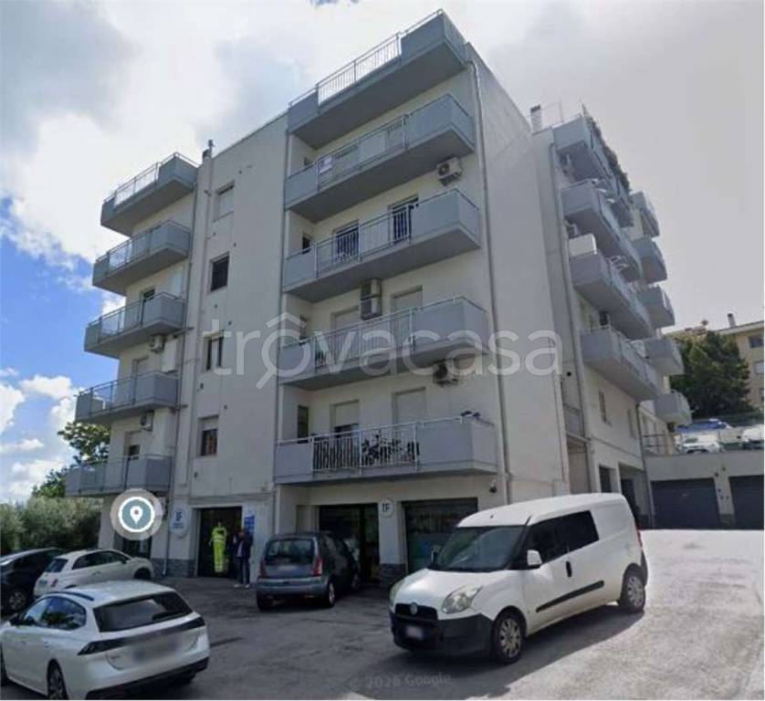 immagine annuncio 9 di 14