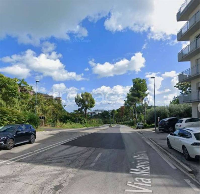 immagine annuncio 10 di 14