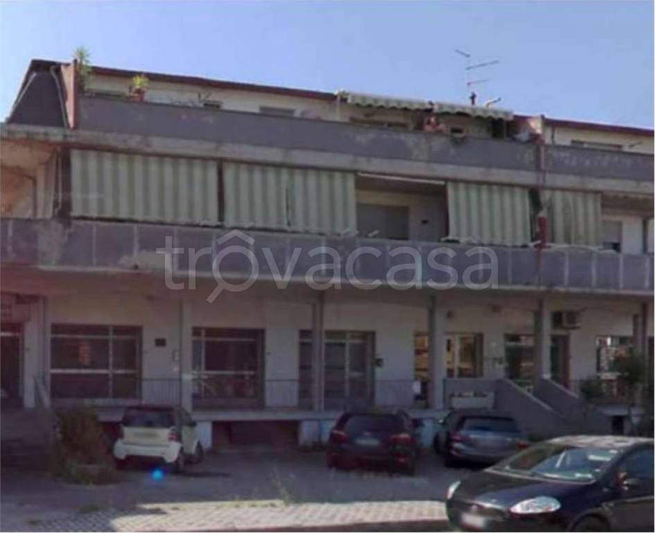 immagine annuncio 2 di 12