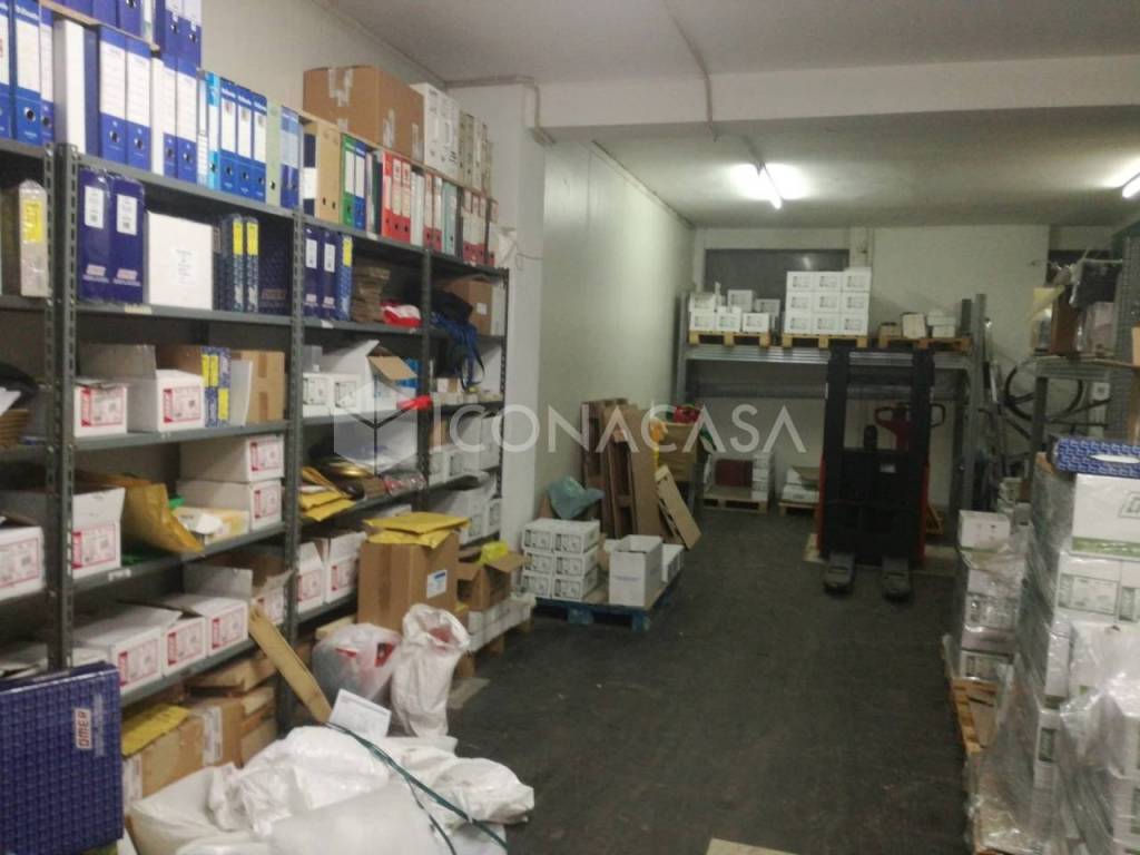 immagine annuncio 9 di 15