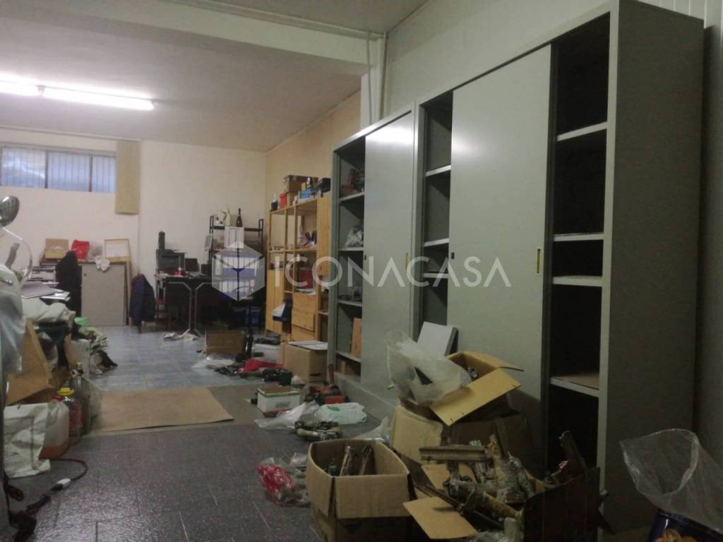 immagine annuncio 11 di 15