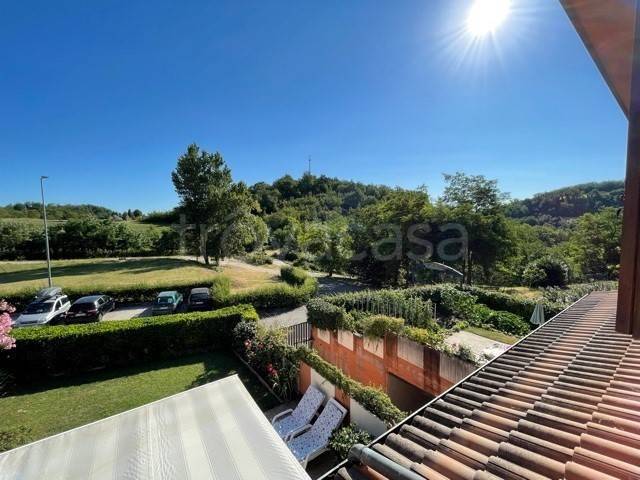 immagine annuncio 11 di 14