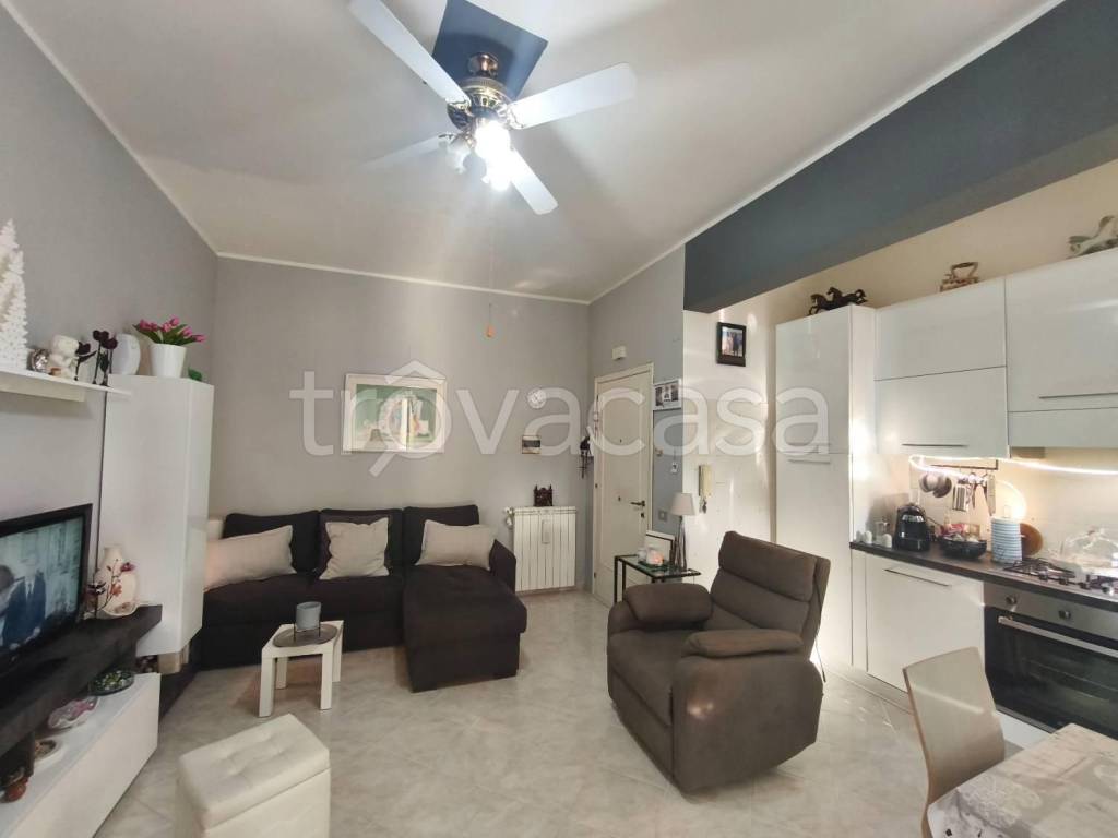 immagine annuncio 2 di 12