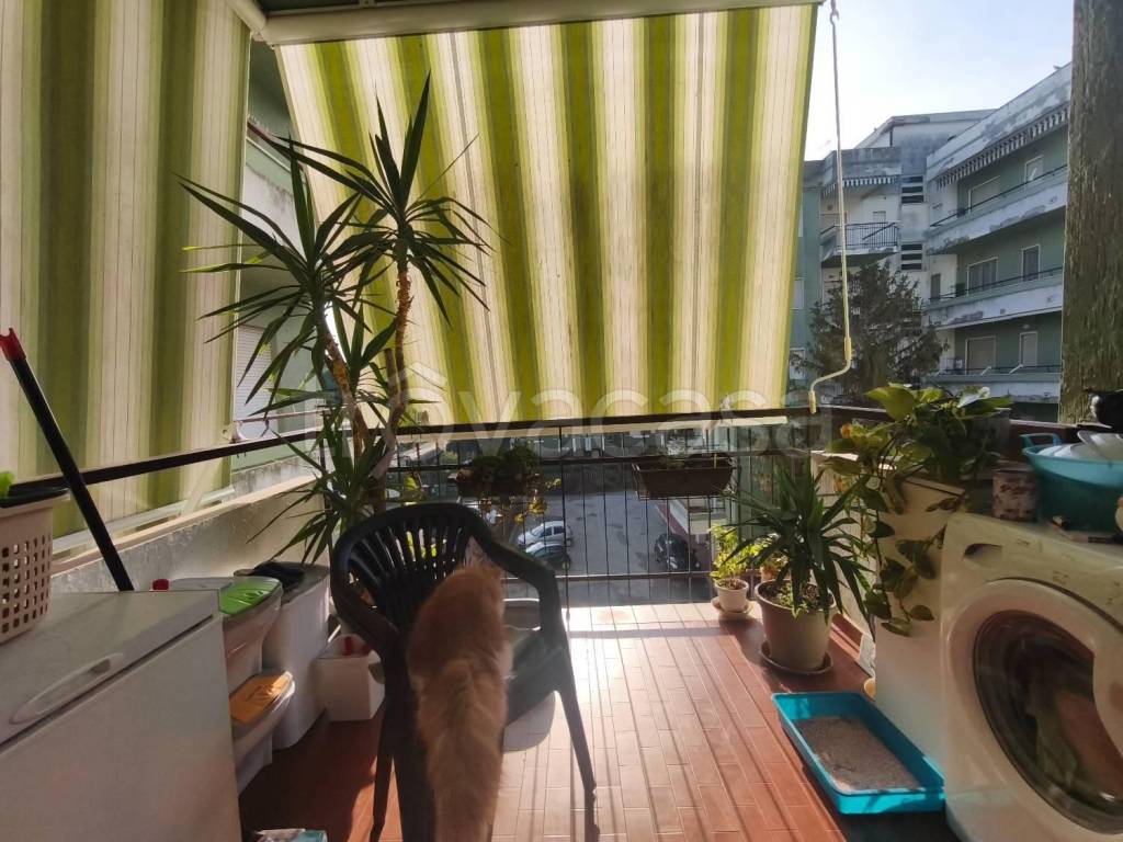 immagine annuncio 11 di 12