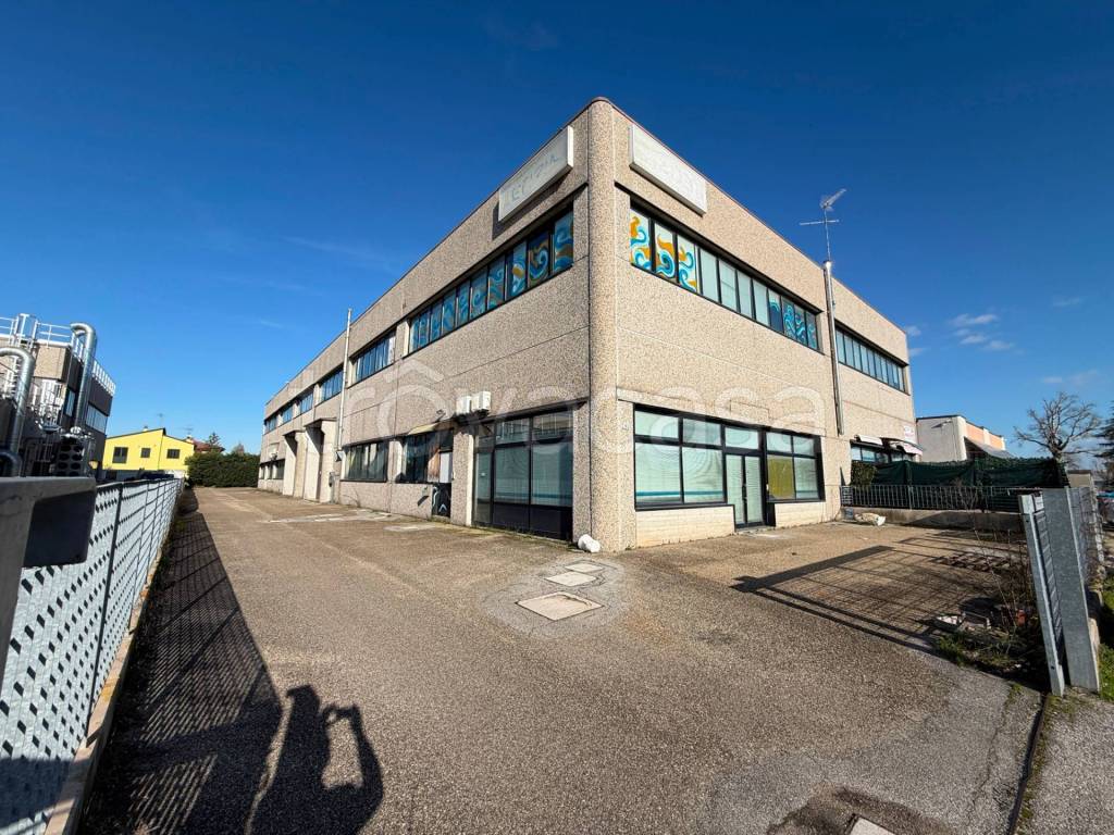 immagine annuncio 1 di 11