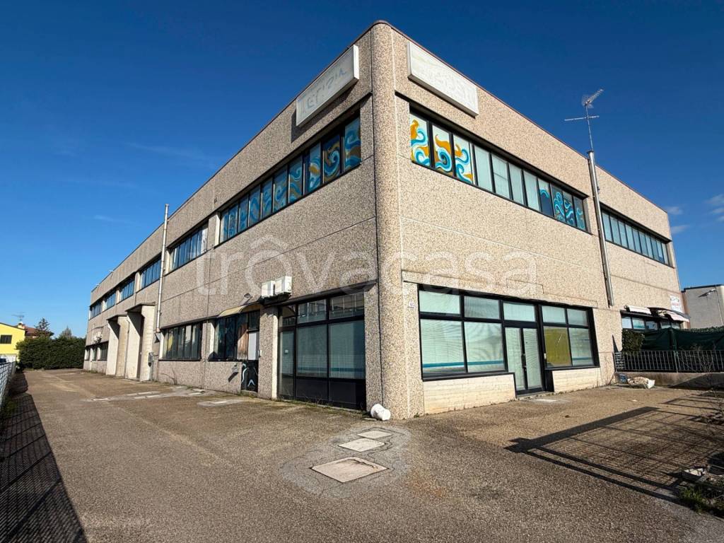 immagine annuncio 2 di 11