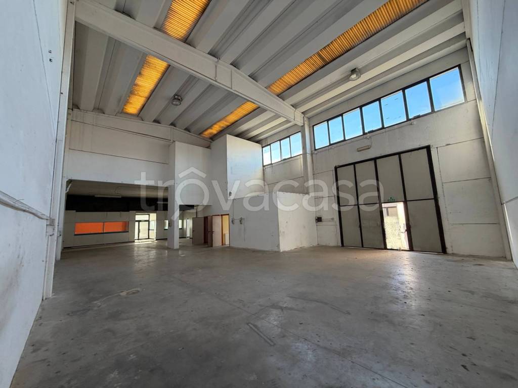 immagine annuncio 3 di 11